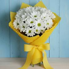 Букет цветов из:  Хризантемы в Павловичи