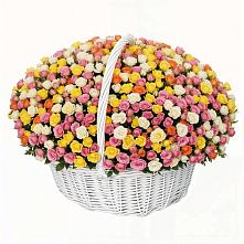 Премиум букет из: Розы в Павловичи