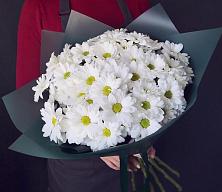 Букет цветов из:  Хризантемы #REPLACE_PRED# Павловичи