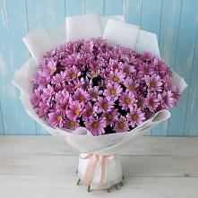 Букет цветов из:  Хризантемы #REPLACE_PRED# Павловичи