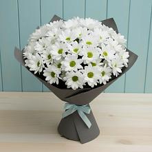 Букет цветов из:  Хризантемы #REPLACE_PRED# Павловичи