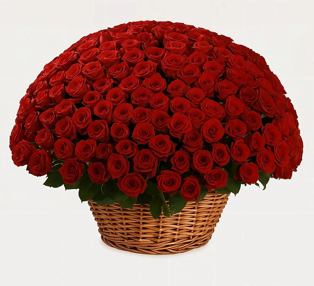 Премиум букет из: Розы в Павловичи