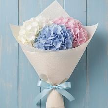 Букет цветов из:  Гортензия в Павловичи
