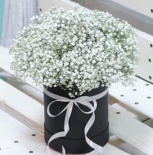Цветочная композиция из Гипсофила в шляпной коробке #REPLACE_PRED# Павловичи