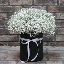 Цветочная композиция из Гипсофила в шляпной коробке в Павловичи