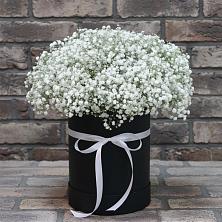Цветочная композиция из Гипсофила в шляпной коробке в Павловичи