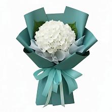 Букет цветов из:  Гортензия в Павловичи